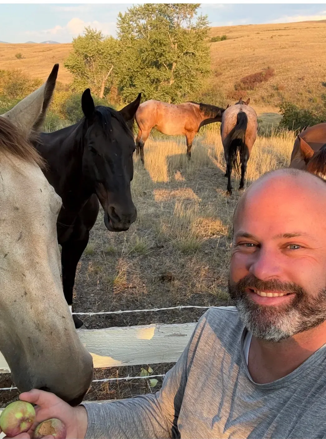 Pat smiling at golden hour beside a white fence, holding apples, with several horses behind him